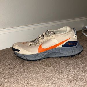 Nike Pegasus Trail GoreTex